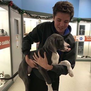 Meet your Posher, Cole